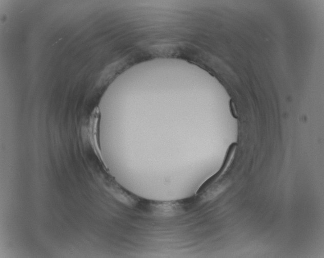 X0000077280432200611101322