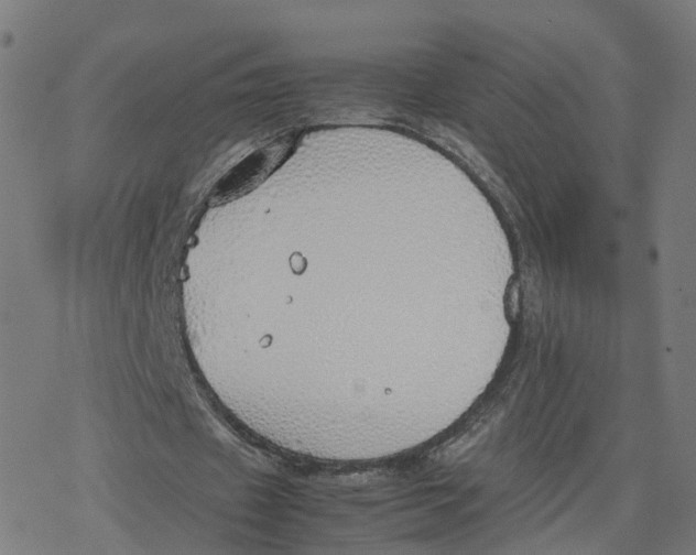 X0000077280433200611101322