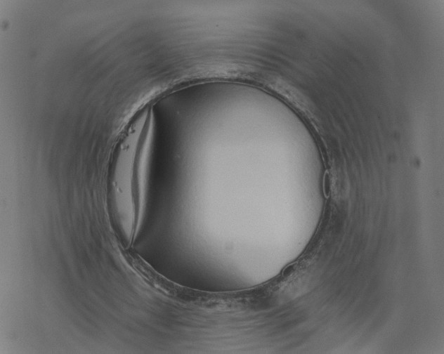 X0000077280434200611101322