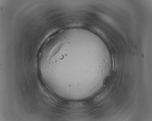 X0000077280435200611101322