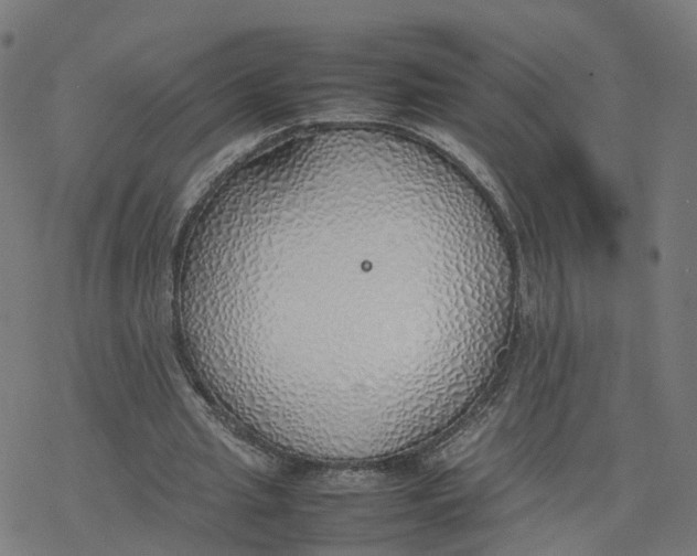 X0000077280437200611101322