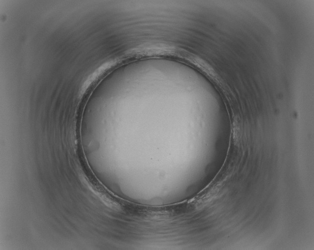 X0000077280438200611101322