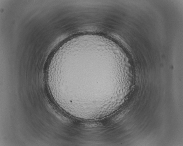 X0000077280439200611101322