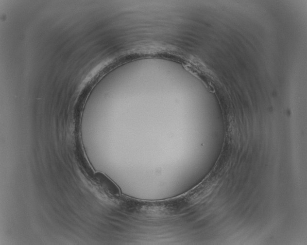 X0000077280440200611101322