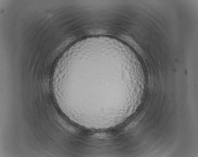 X0000077280441200611101322