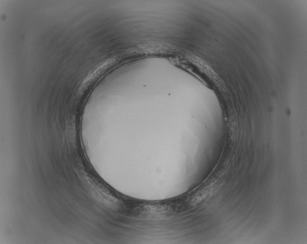 X0000077280442200611101322