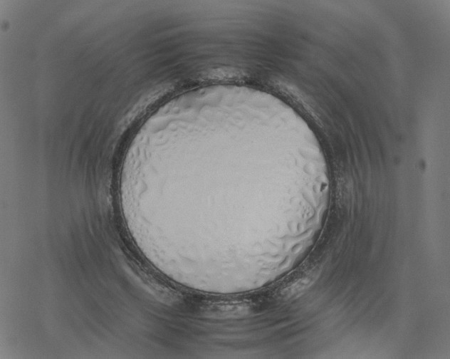 X0000077280443200611101322