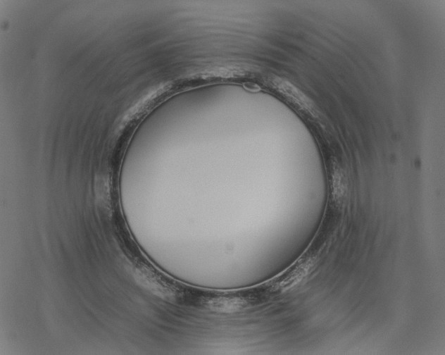 X0000077280444200611101322