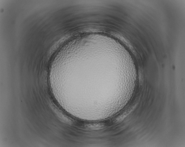 X0000077280445200611101322