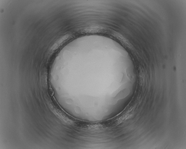 X0000077280446200611101322