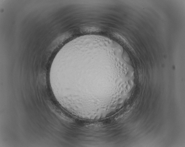 X0000077280447200611101322