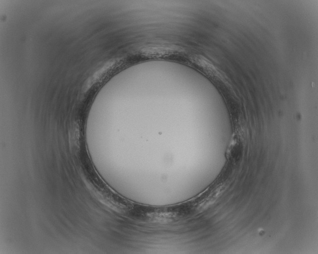 X0000077280448200611101322