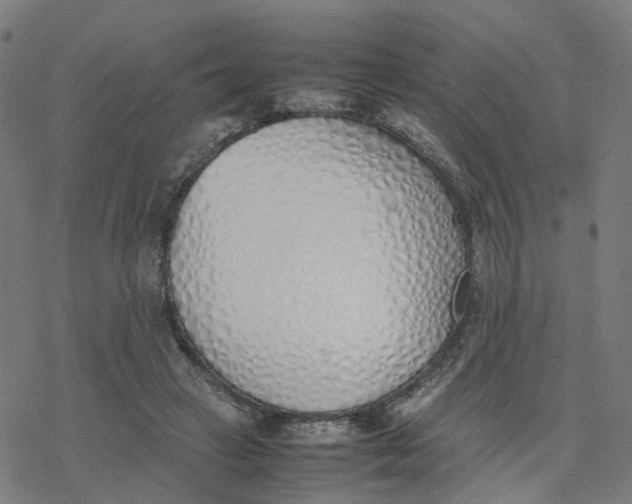 X0000077280449200611101322