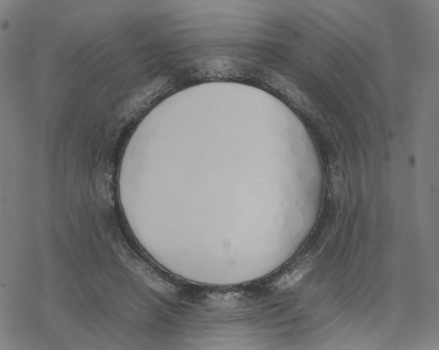 X0000077280450200611101322