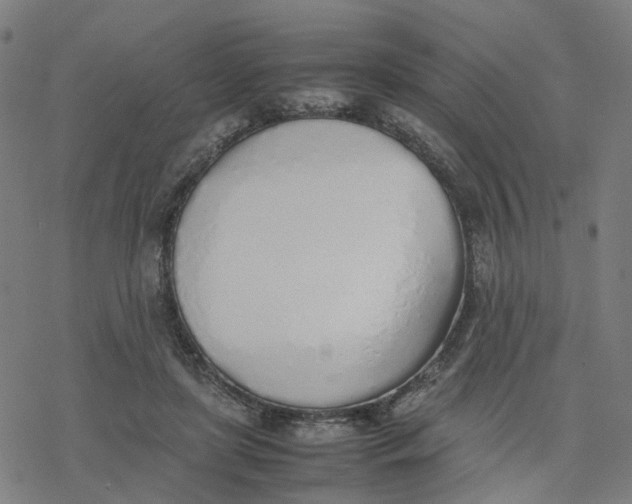 X0000077280451200611101322