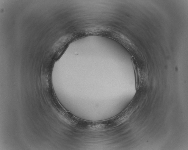 X0000077280452200611101322