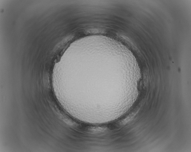 X0000077280453200611101322