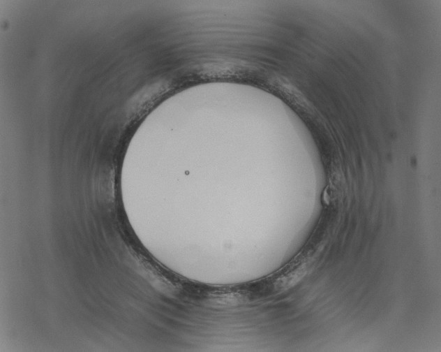 X0000077280454200611101322