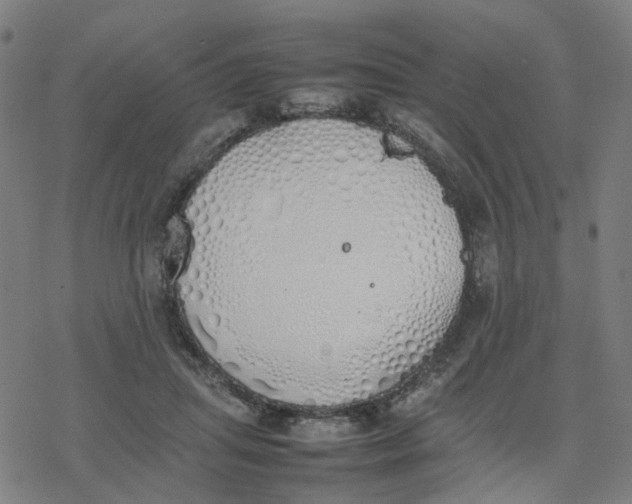 X0000077280455200611101322