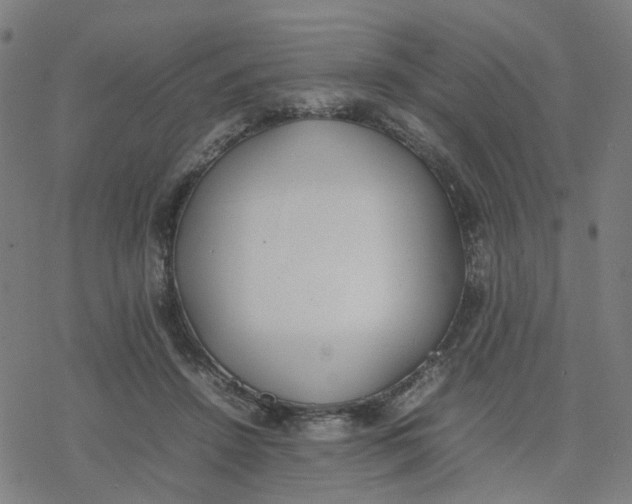 X0000077280456200611101322