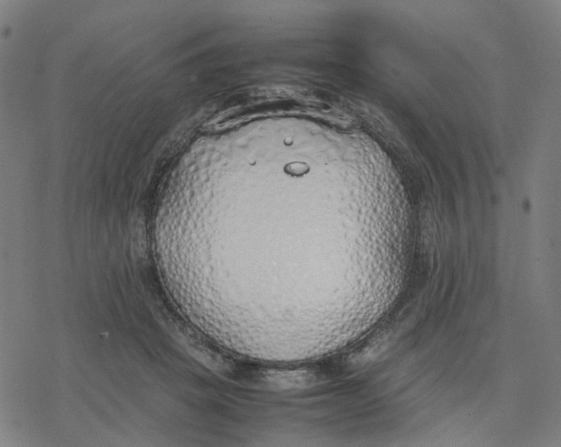 X0000077280457200611101322