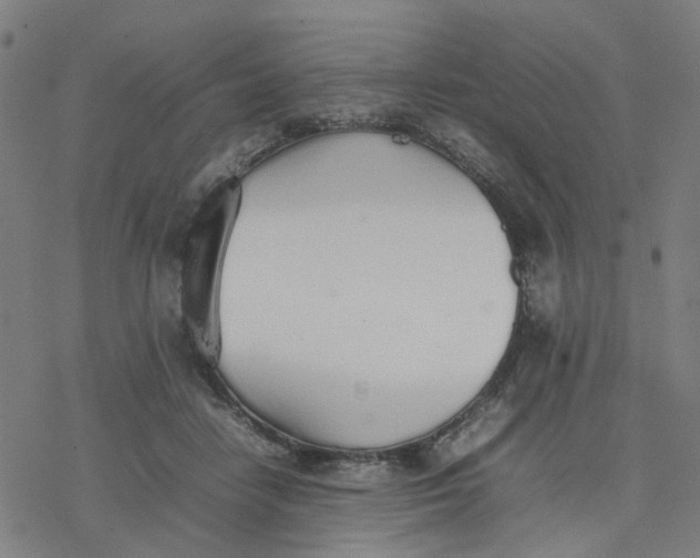 X0000077280458200611101322