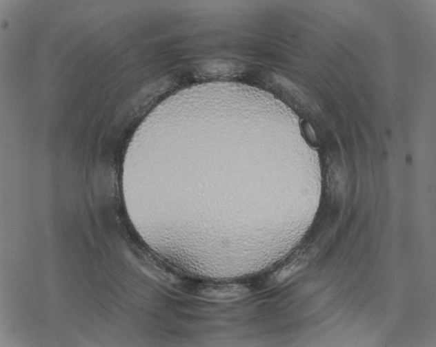 X0000077280459200611101322