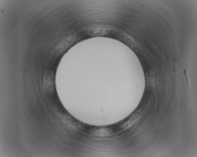 X0000077280460200611101322