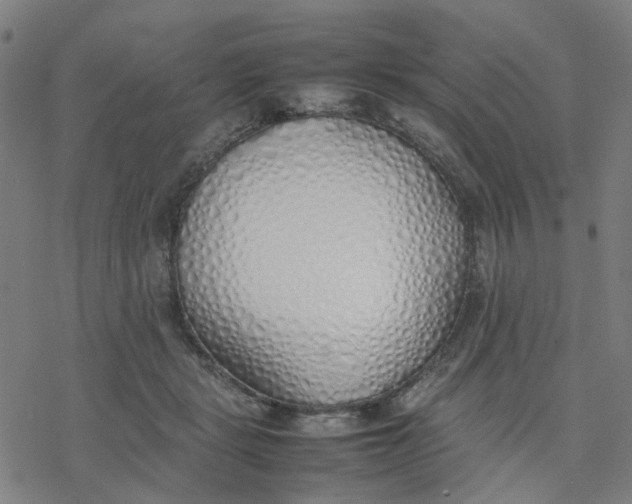 X0000077280461200611101322