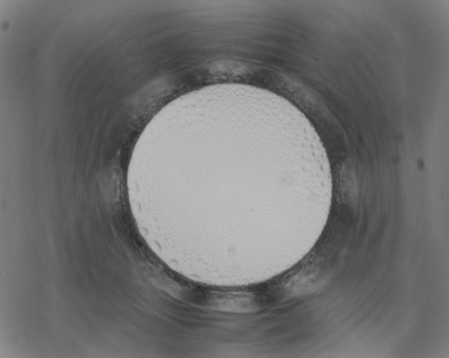 X0000077280463200611101322