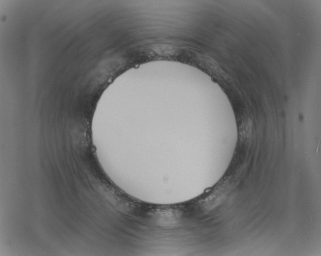 X0000077280464200611101322