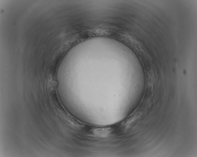 X0000077280465200611101322