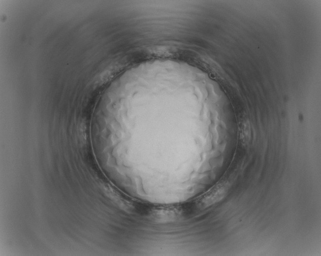 X0000077280466200611101322