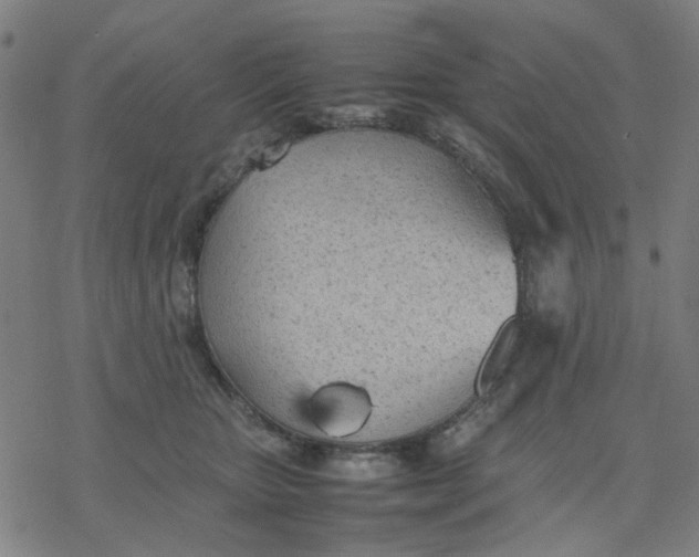 X0000077280467200611101322