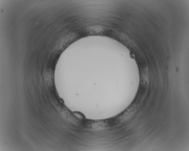 X0000077280468200611101322