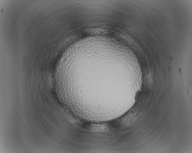 X0000077280469200611101322