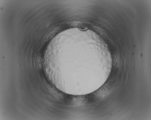 X0000077280470200611101322