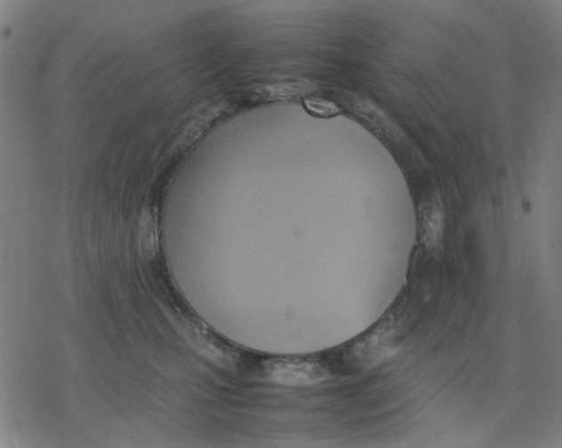 X0000077280471200611101322