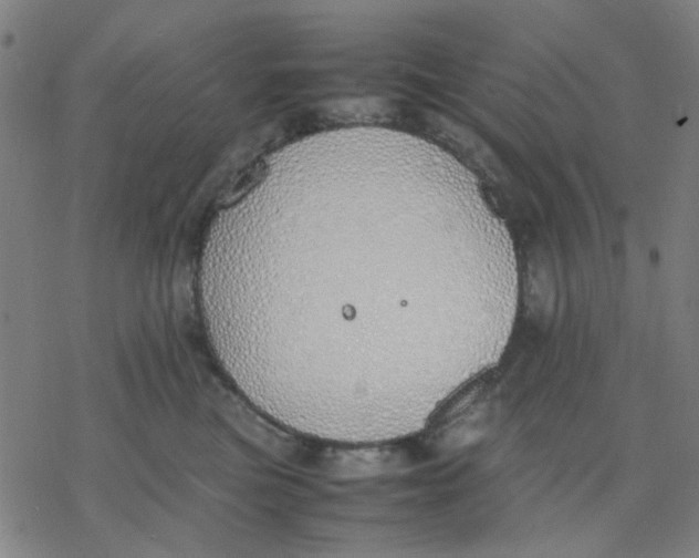 X0000077280473200611101322