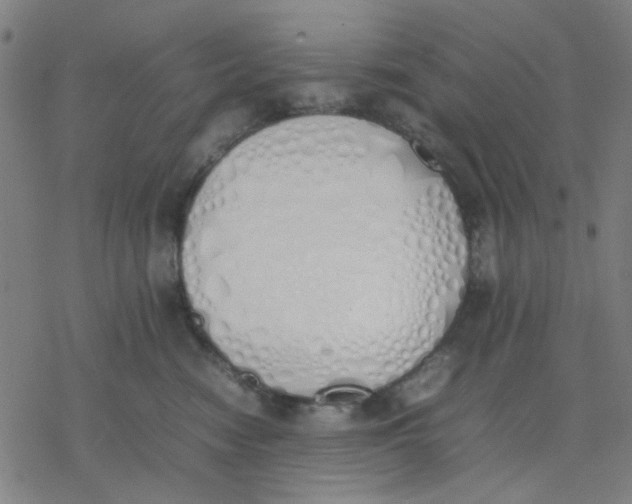 X0000077280474200611101322