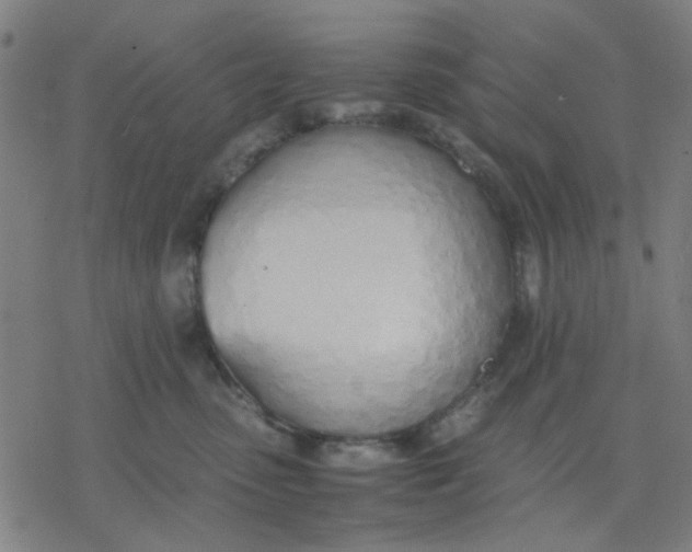 X0000077280475200611101322