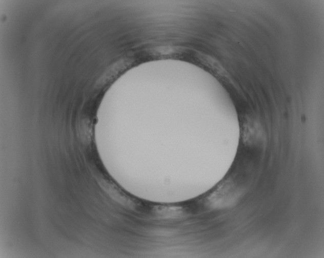 X0000077280476200611101322