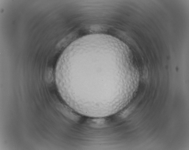 X0000077280478200611101322