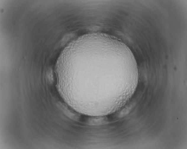 X0000077280479200611101322