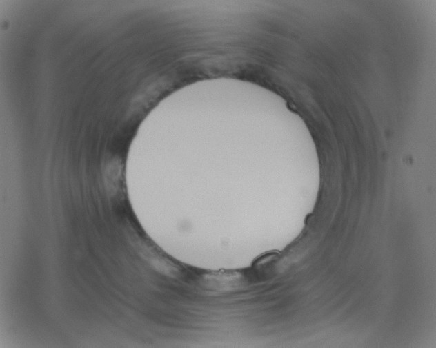 X0000077280480200611101322