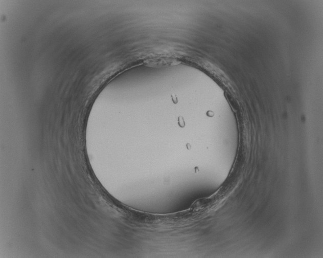 X0000077280481200611101322