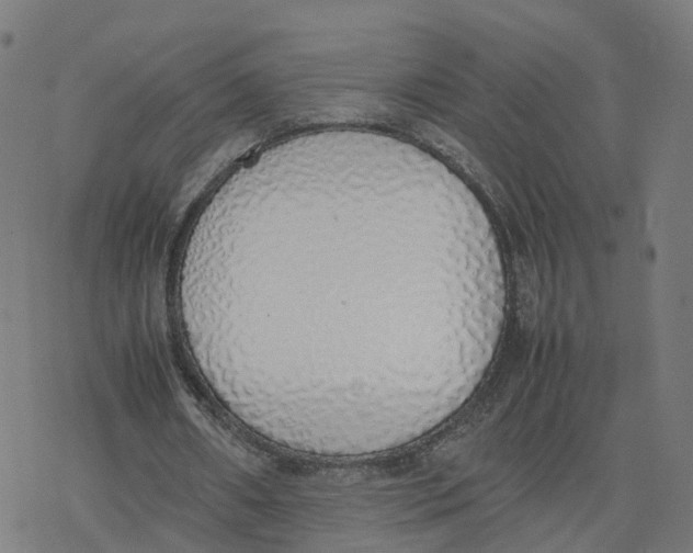 X0000077280482200611101322