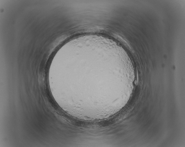 X0000077280483200611101322