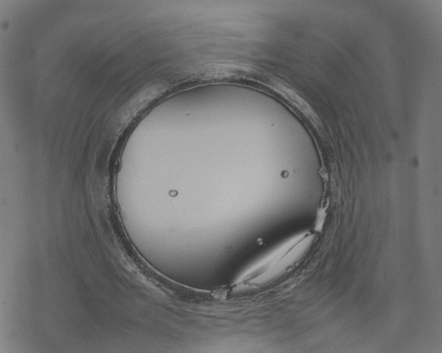 X0000077280485200611101321