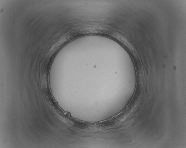 X0000077280489200611101321